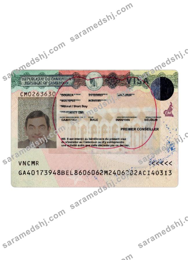 Cameroon travel visa version 2